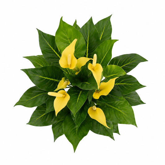 Artificial Yellow Calla Lily Potted Plant in White Plastic Pot