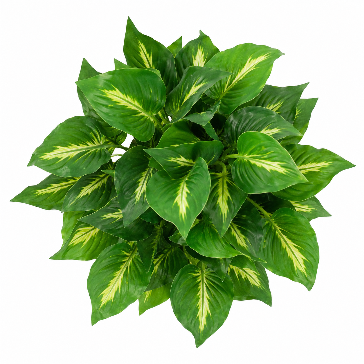 Artificial Variegated Foliage Plant in White Plastic Pot