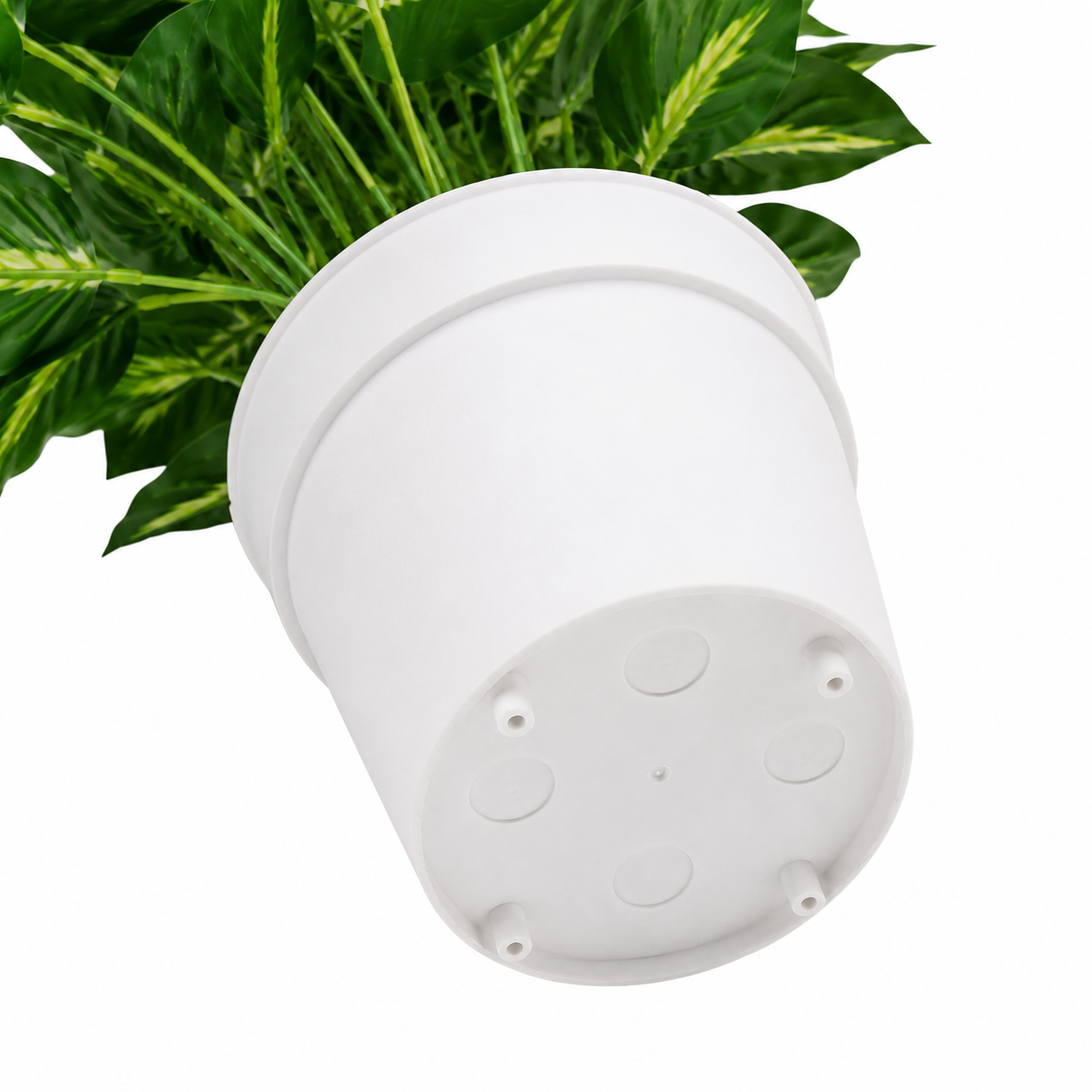 Artificial Variegated Foliage Plant in White Plastic Pot