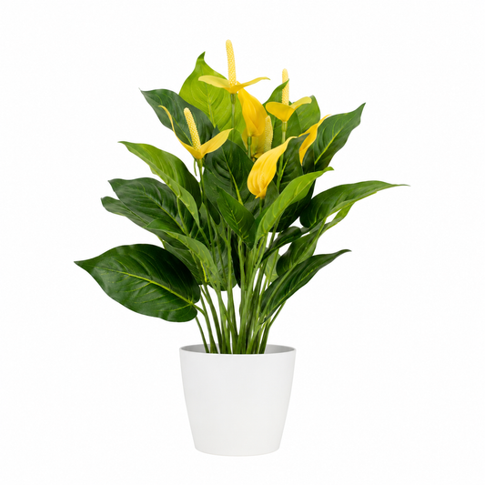 Artificial Yellow Calla Lily Potted Plant in White Plastic Pot