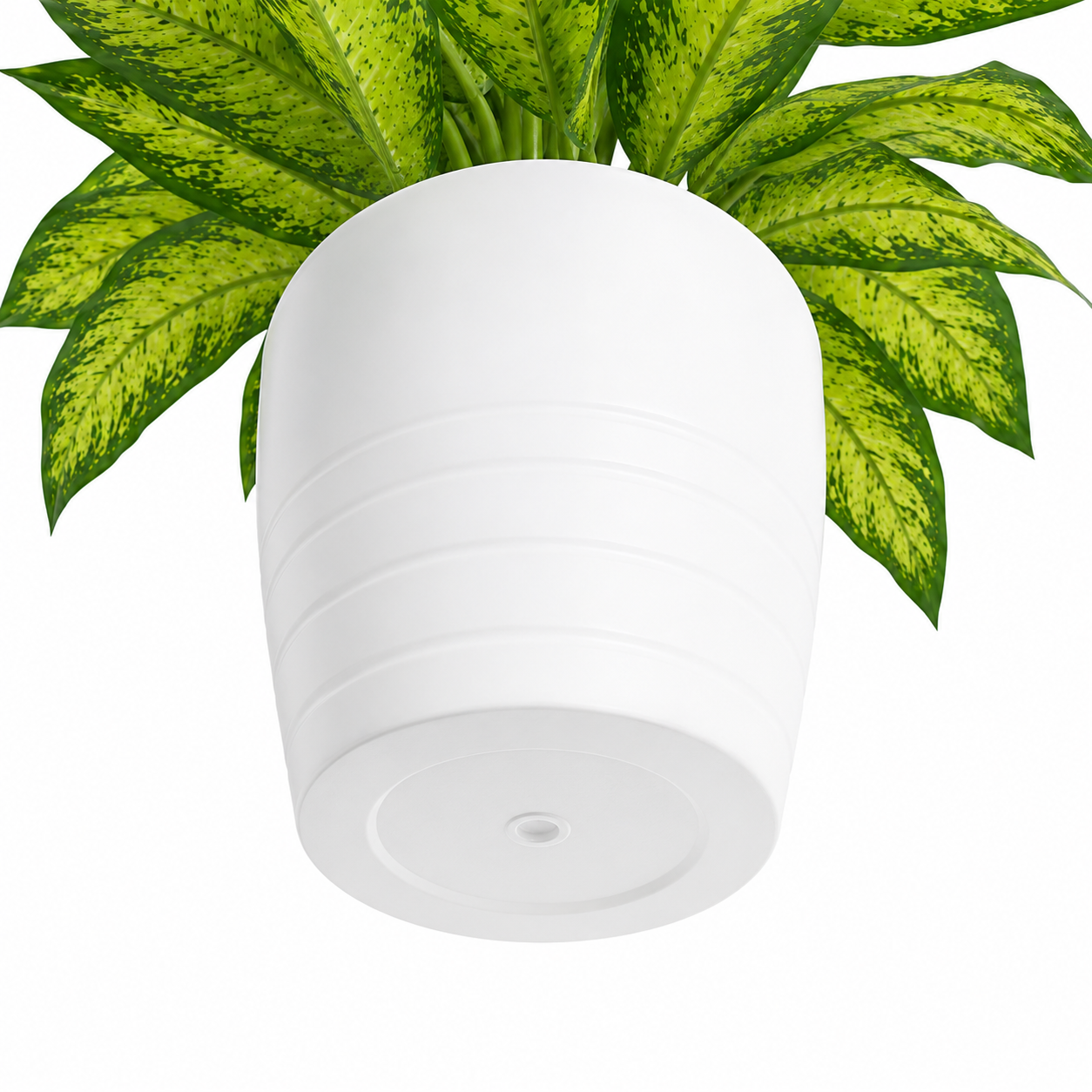 Artificial Dieffenbachia Potted Plant in White Plastic Pot