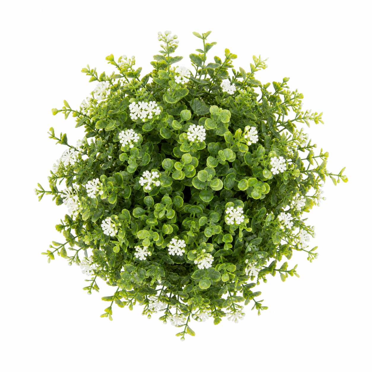 White Artificial Flower Potted Plant in White Plastic Pot